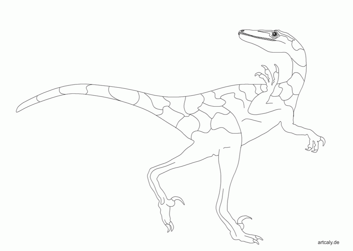 Dinozaury kolorowanki